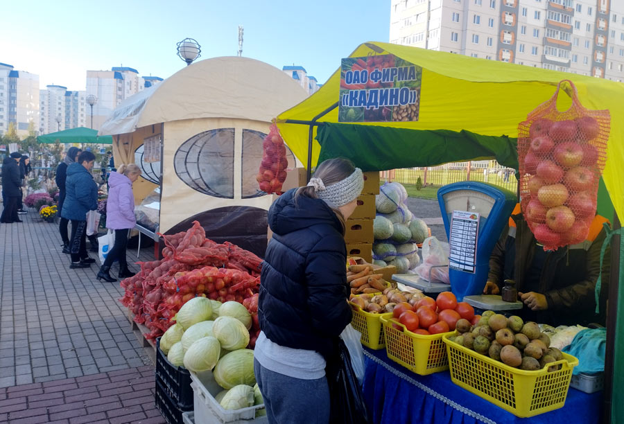 Осенние сельскохозяйственные ярмарки проходят в Могилеве