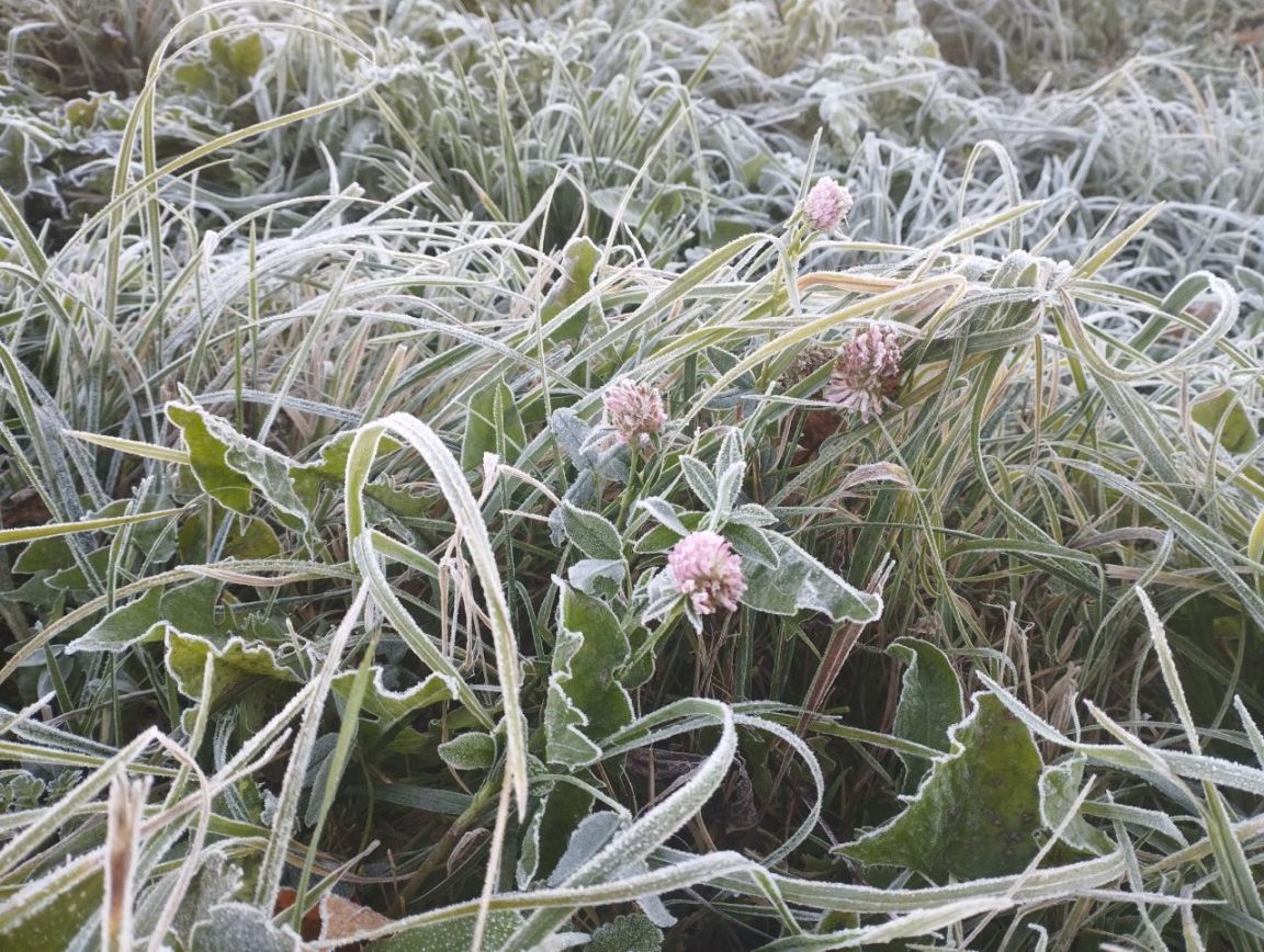Погода на неделю: до +19 во вторник, со среды существенно похолодает