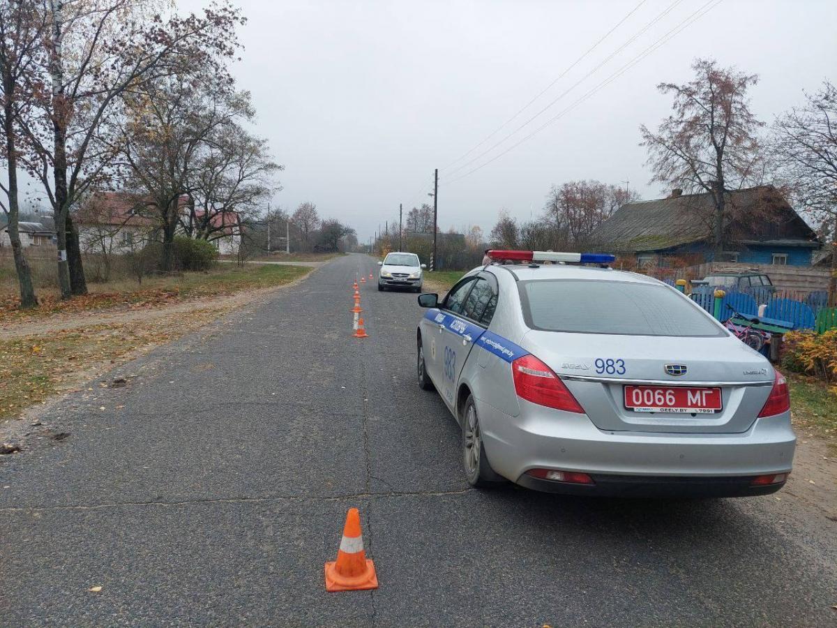 В Осиповичском районе ребёнок попал под машину