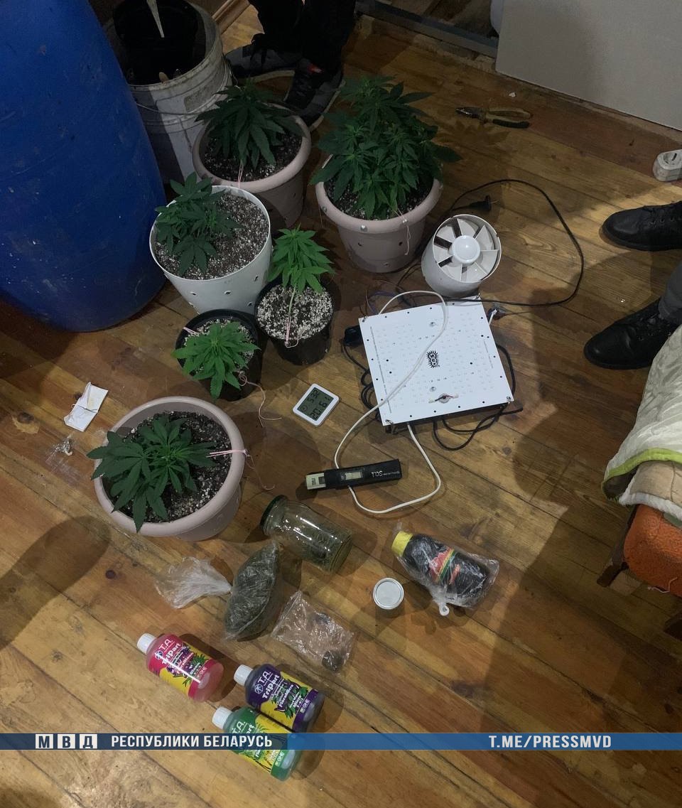 Нарколабораторию обнаружили в Бобруйске