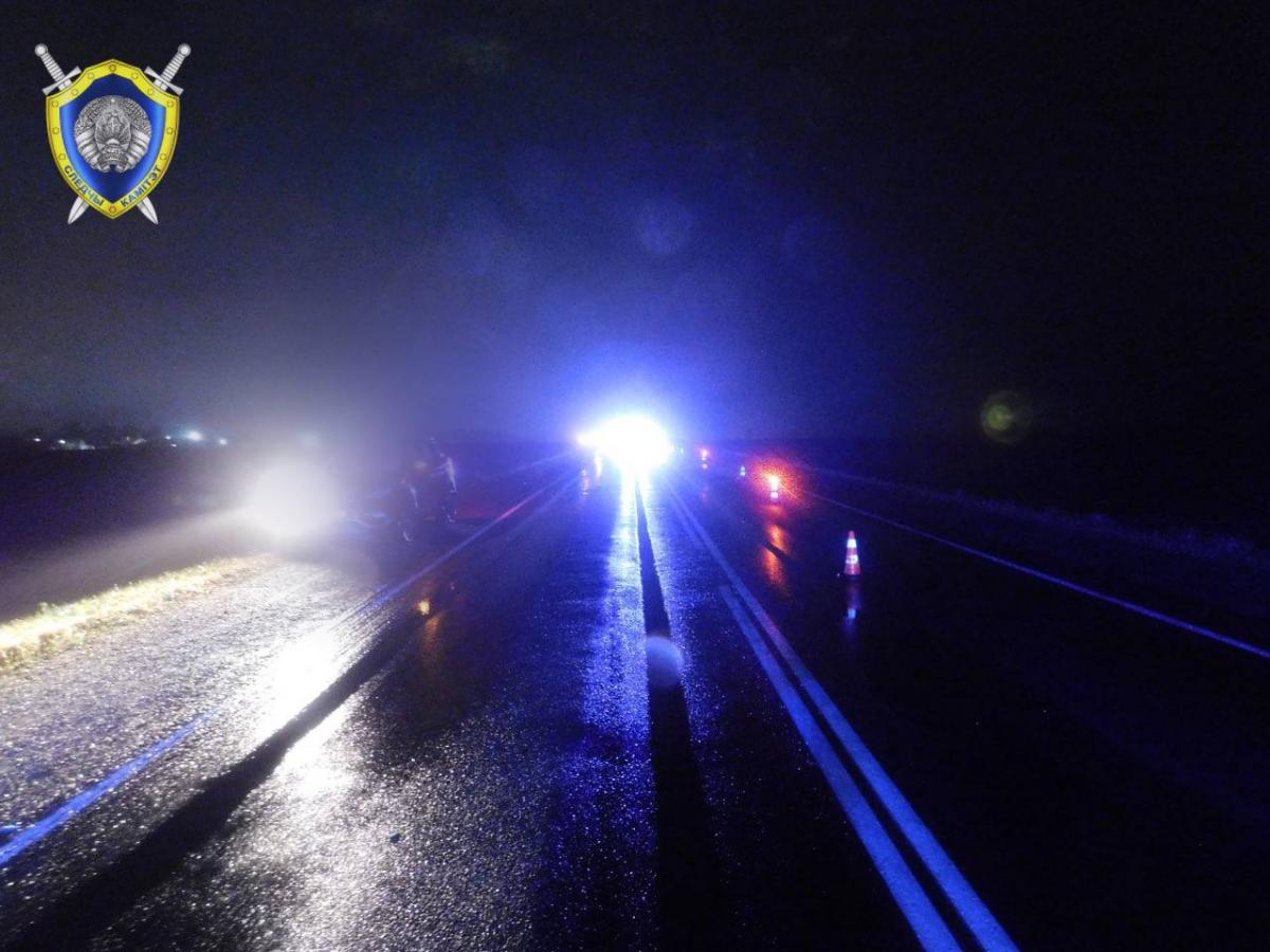 Следователи устанавливают очевидцев смертельного наезда на пешехода в Чаусском районе