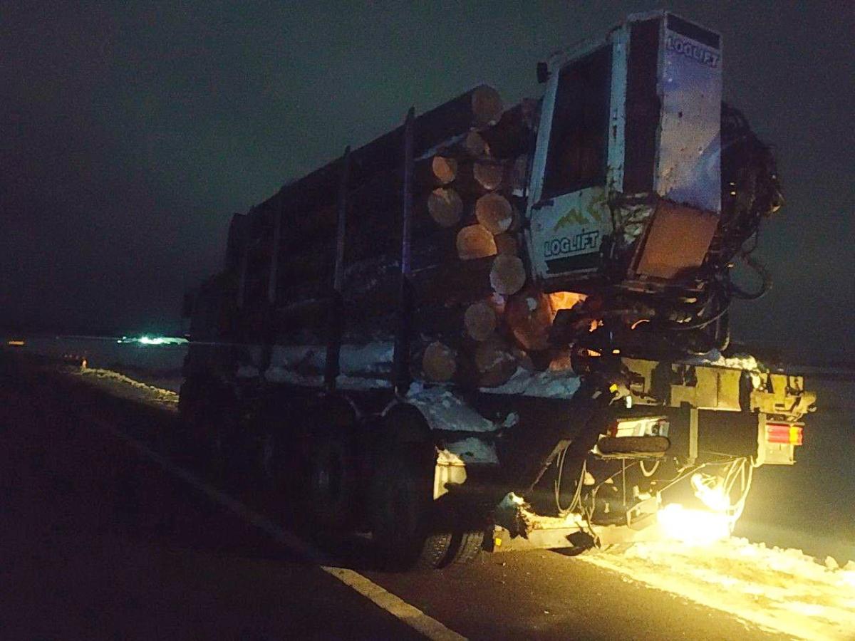 В Белыничском районе предотвратили хищение древесины