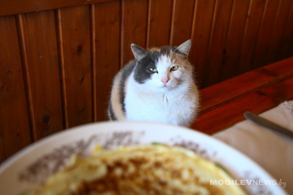 Масленица-2022: как встречать