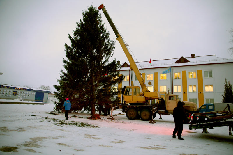 Главная новогодняя елка прибыла в Климовичи