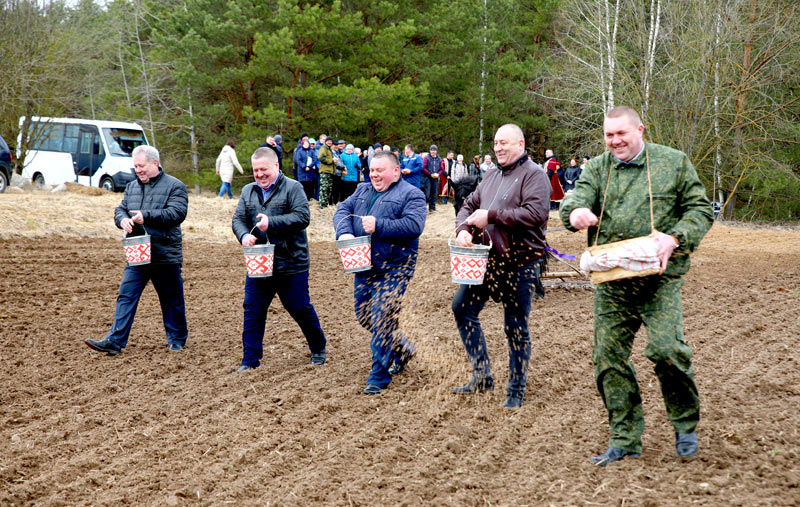 На Климовщине состоялся праздник первой борозды