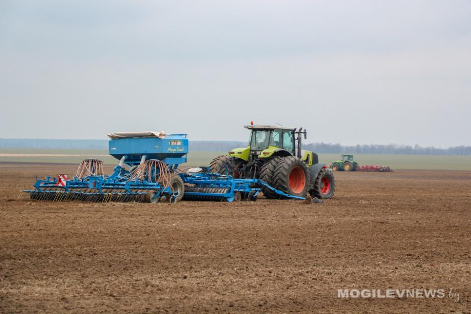 В Беларуси завершили посадку кукурузы на сельскохозяйственных угодьях