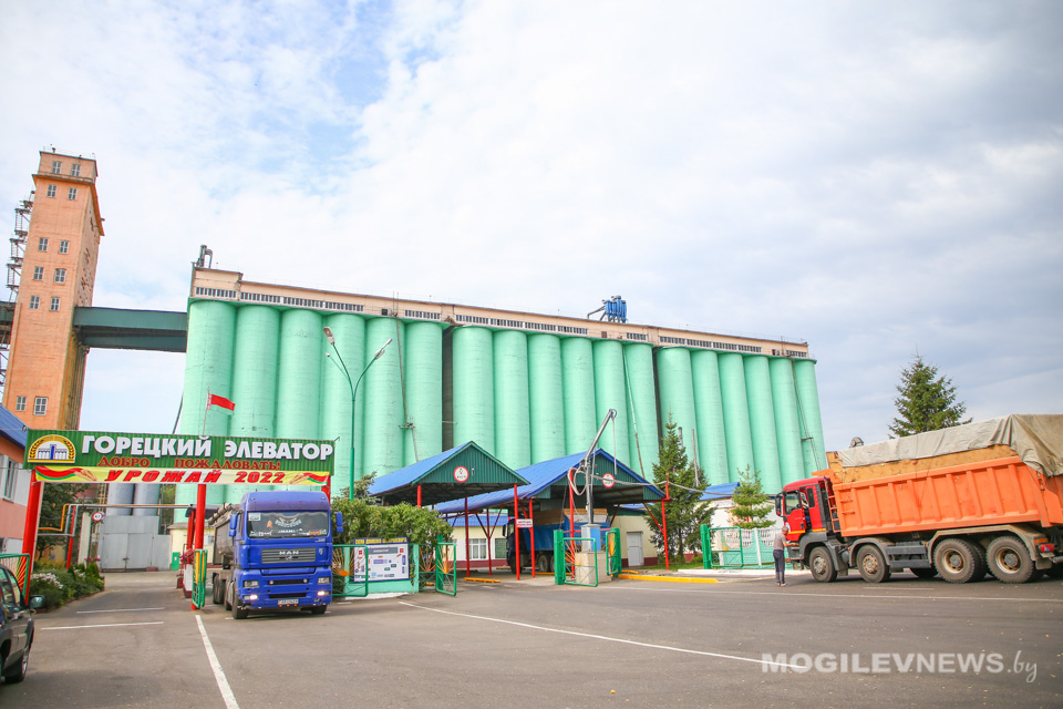 Круглосуточно на приемке зерна нового урожая работает Горецкий элеватор. Фото