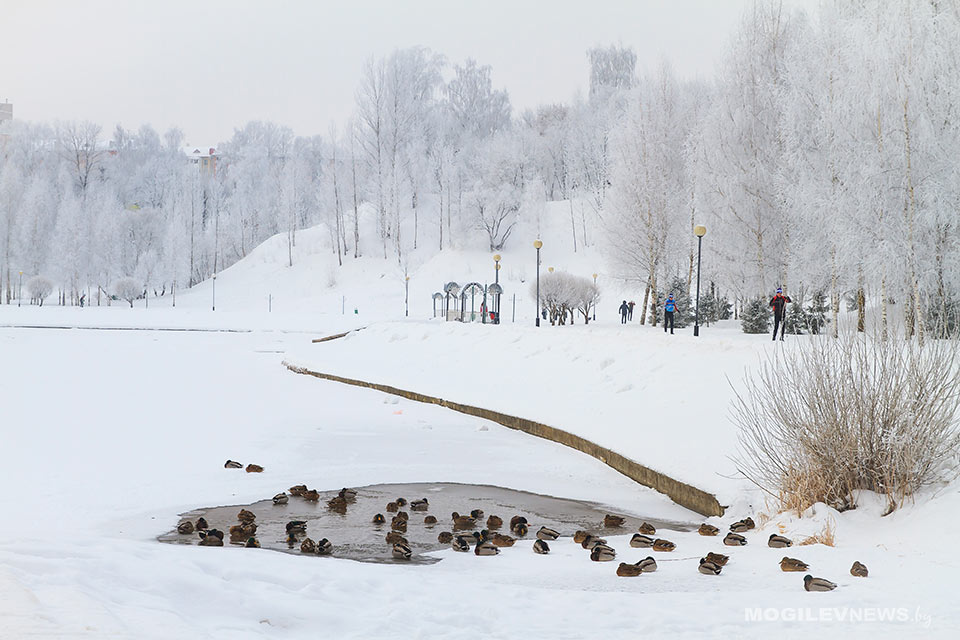 Оранжевый уровень опасности в связи с сильным снегом и порывистым ветром объявлен на 15 декабря в Могилевской области