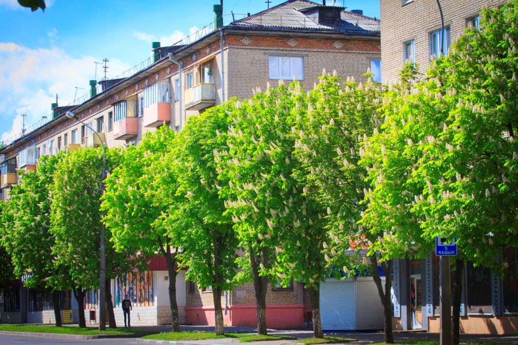 Погода на неделю: дождливо и прохладно, к выходным - до +23°С