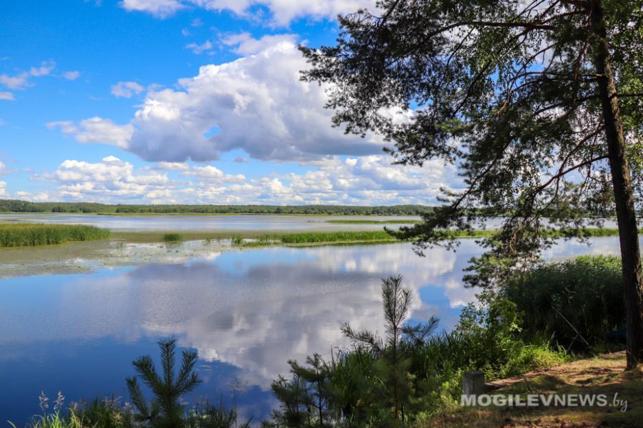 Преимущественно без осадков и до +29°С прогнозируется в Могилевской области на 22 августа