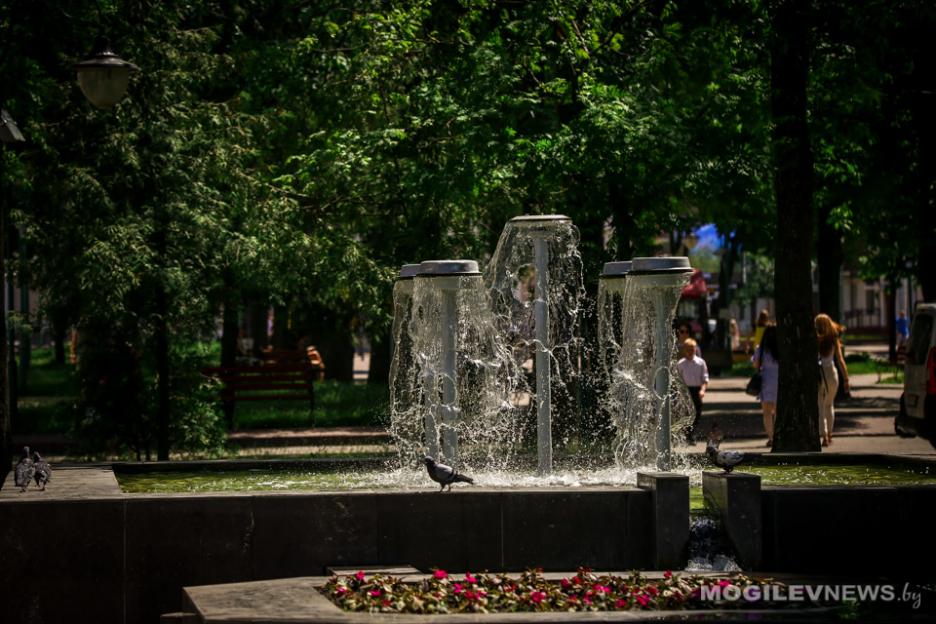 Преимущественно без осадков и до +23°С ожидается 18 июля в Могилевской области