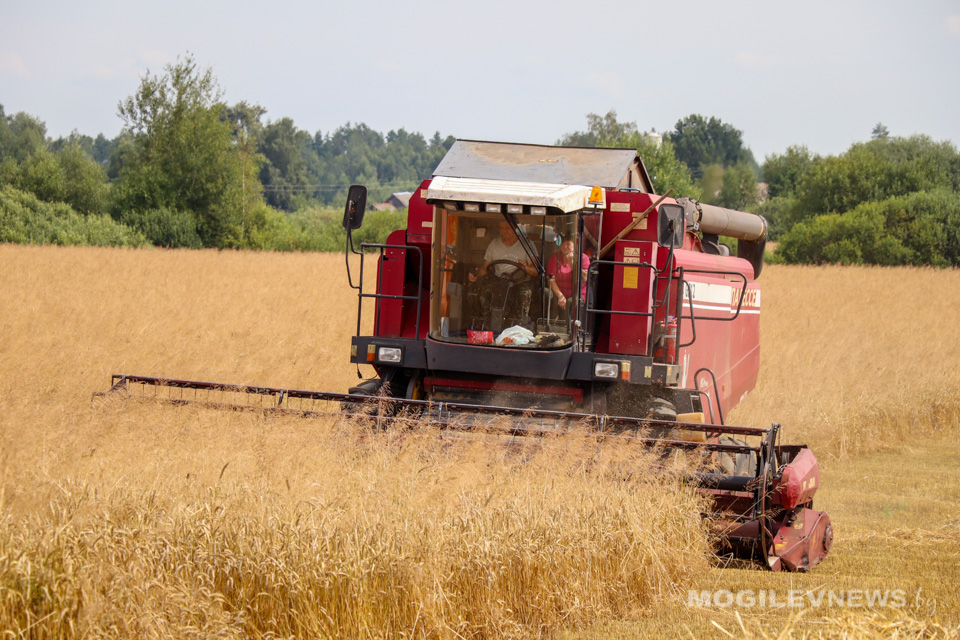 Намолот зерна в ЗАО «Нива» значительно превышает среднеобластной показатель
