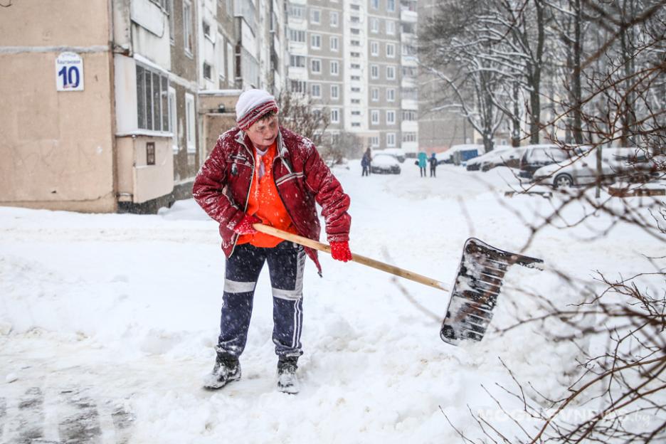 Могилевчан просят присоединиться к уборке снега