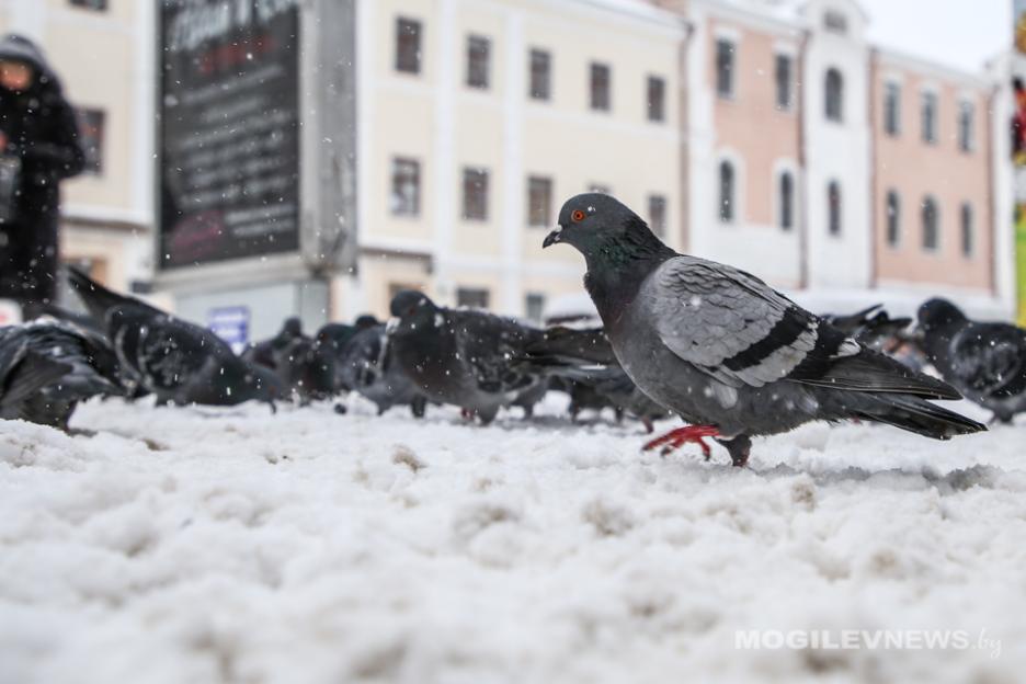 Погода на неделю: сильный ветер во вторник и похолодание к выходным