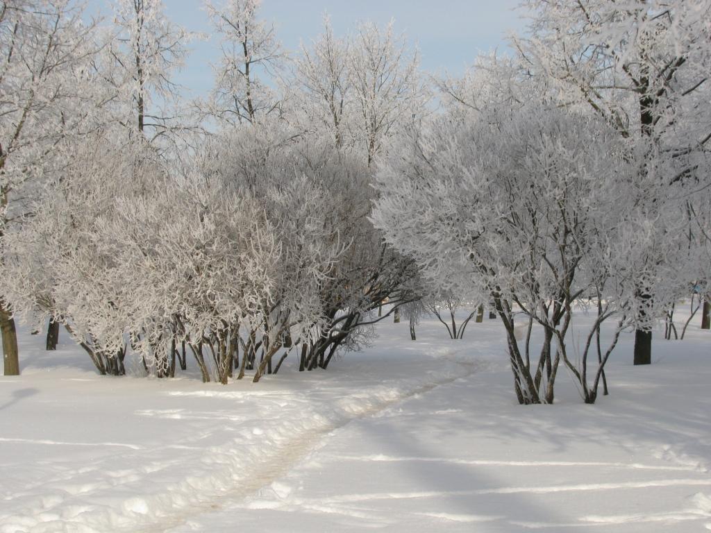 До -20°С ночью и до -9°С днем ожидается в первой половине следующей недели в Могилевской области