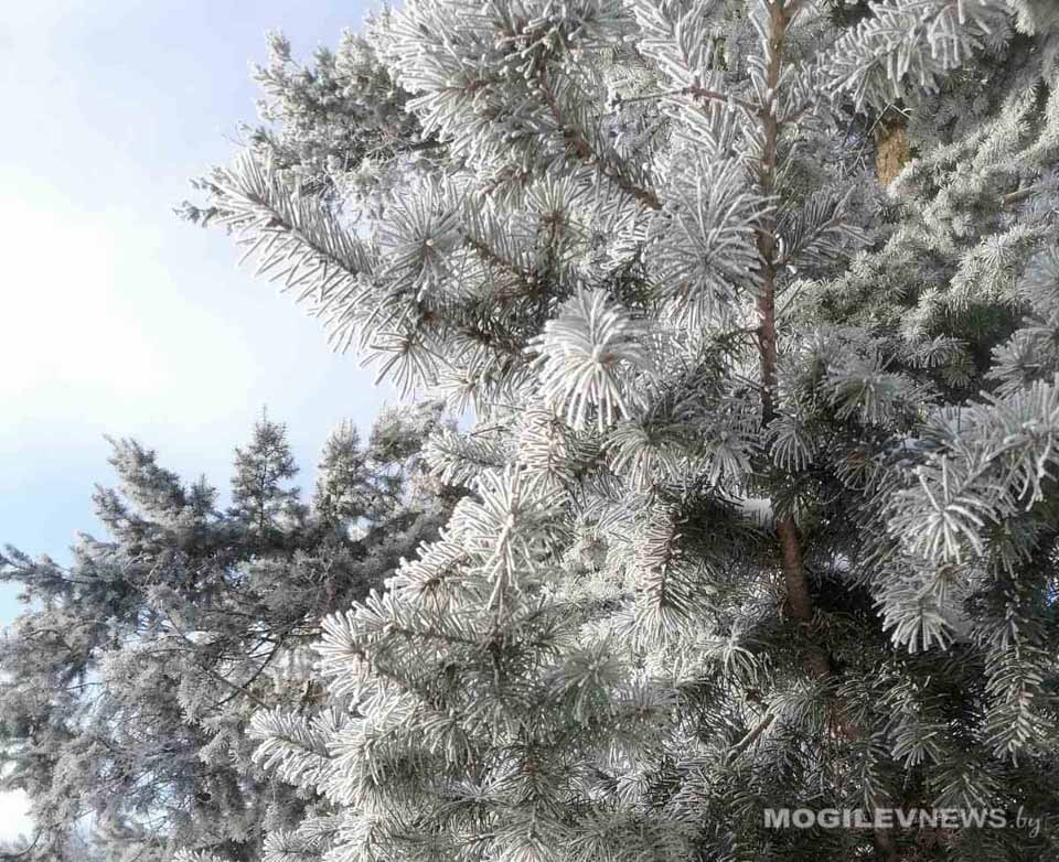 Гололедица, туман и снег: в Могилевской области 2 января объявлен оранжевый уровень опасности