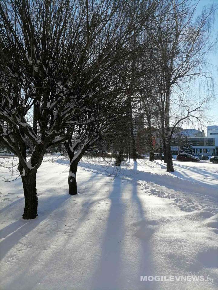 Синоптики прогнозируют усиление ветра в Могилевской области 17 и 18 января. Объявлен оранжевый уровень опасности