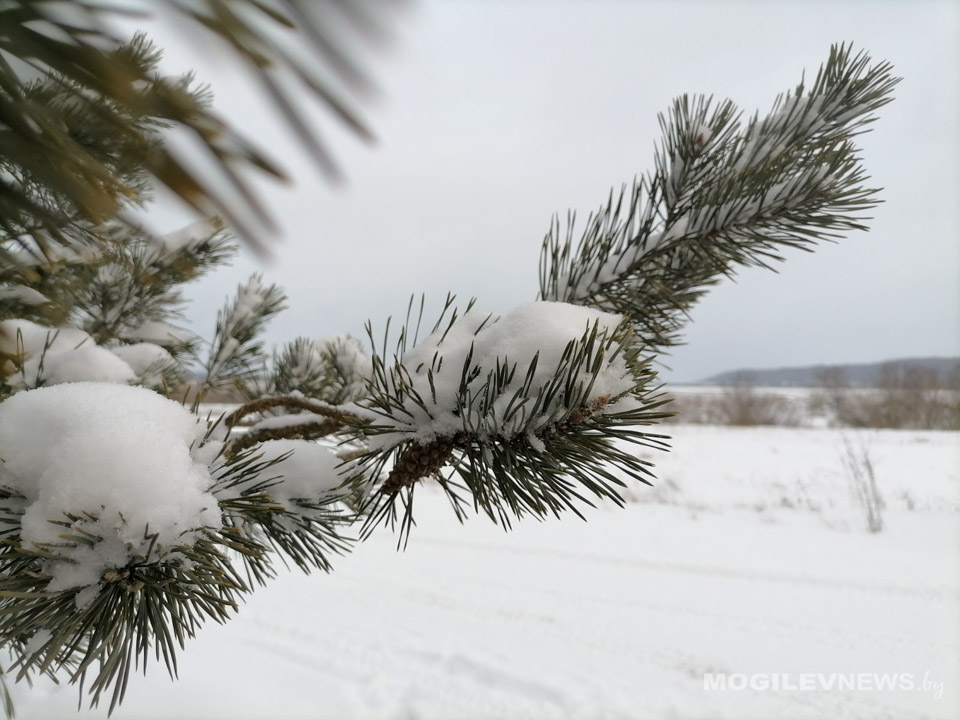 Без существенных осадков, днем мороз до минус 9 - погода в понедельник, 24 января