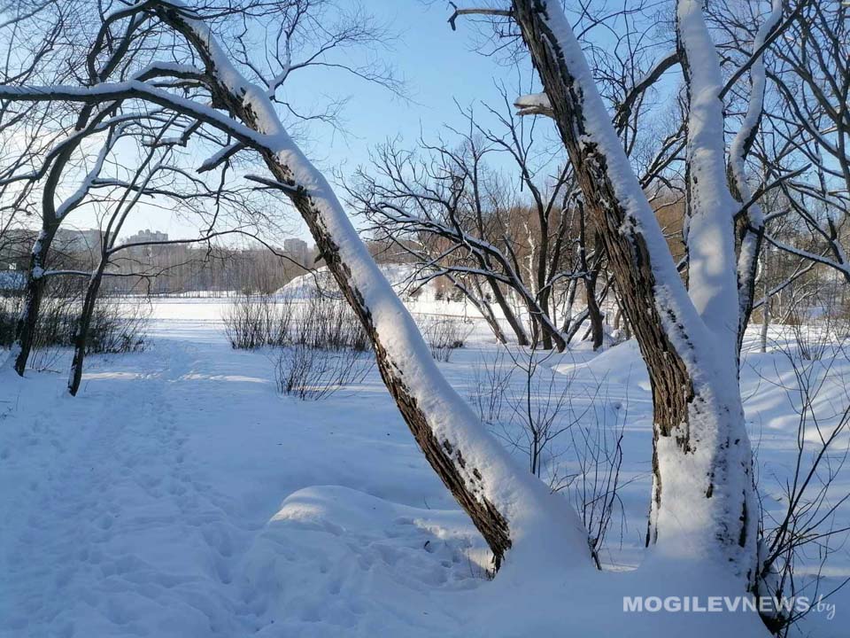 До плюс 8 градусов и гололедица ожидаются в Могилевской области 21 февраля