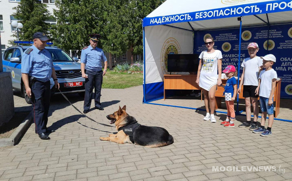 Праздник безопасности проходит на фестивале «Вытокі». Фото