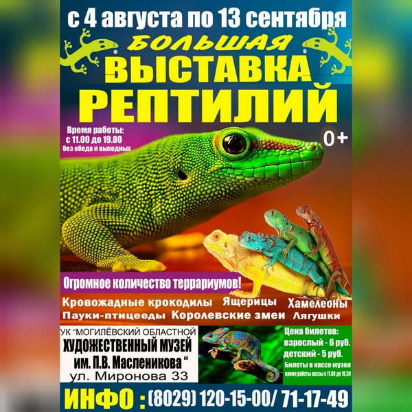 Большая выставка рептилий начинает свою работу в Могилеве