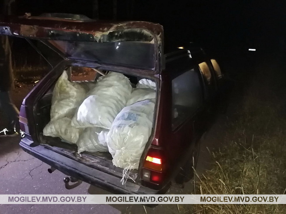 Полтоны картофеля похитил с поля в Кировском районе житель Бобруйского района