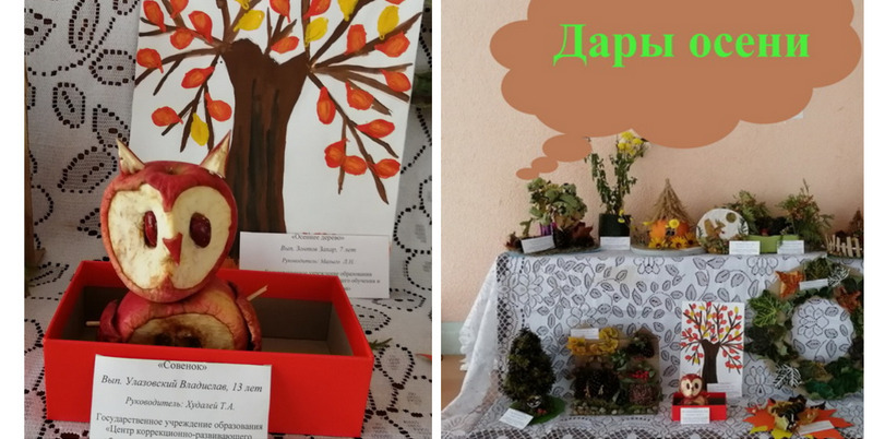 Творческая выставка прошла в Центре коррекционно-развивающего обучения и реабилитации г. Кричева