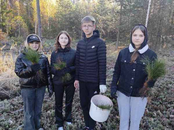 Акция «Аднавiм лясы разам» активно проходит в Краснопольском лесхозе