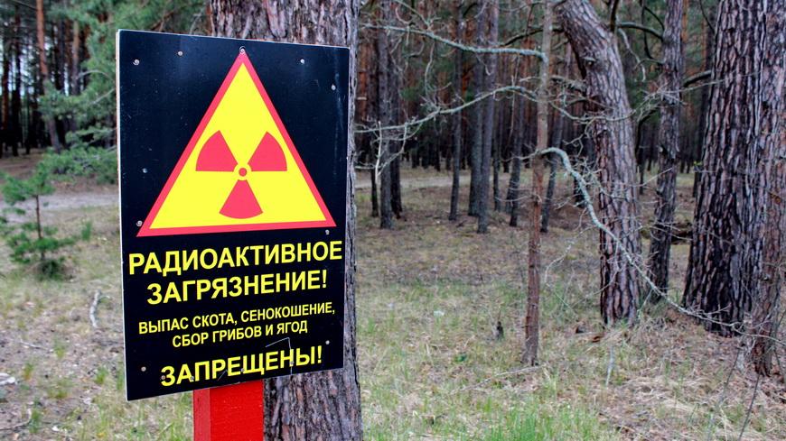 Результаты исследований пищевых продуктов из личных подсобных хозяйств и даров леса в Могилевской области