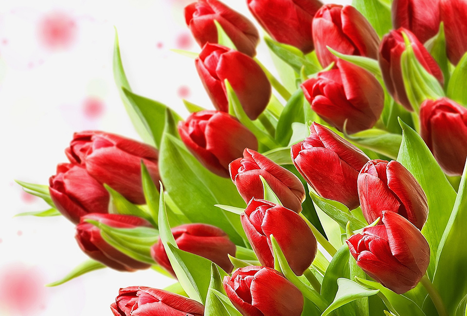 Музеи Могилевщины в преддверии Дня женщин приглашают всех женщин с детьми бесплатно посетить свои экспозиции 5-8 марта