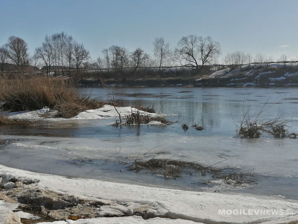 Преимущественно без осадков, местами гололедица – погода в Могилевской области 7 марта