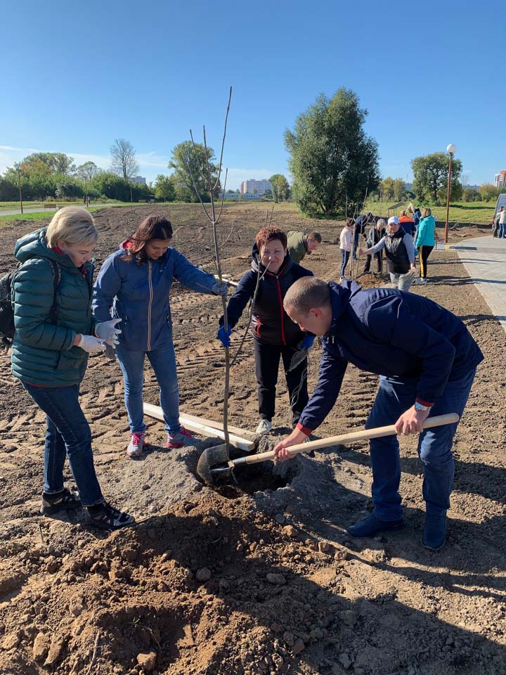 В честь 100-летнего юбилея Беларусбанк в областных центрах и столице заложил «Аллеи 100-летия»