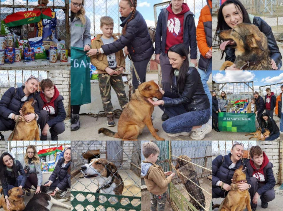 Беларусбанк провел благотворительную акцию «Помощь лапкам» в поддержку бездомных животных