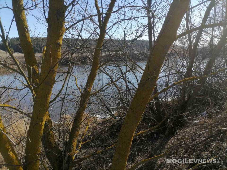 Преимущественно без осадков и -4°С - погода 9 марта в Могилевской области