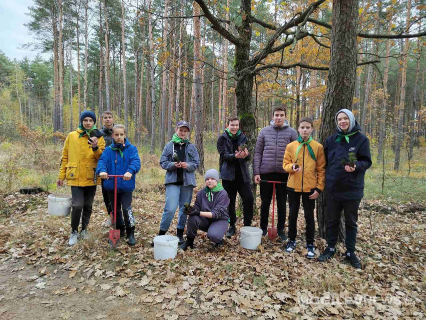 Учащиеся экологического отряда "Думай по-зелёному" высадили около 3000 саженцев сосны