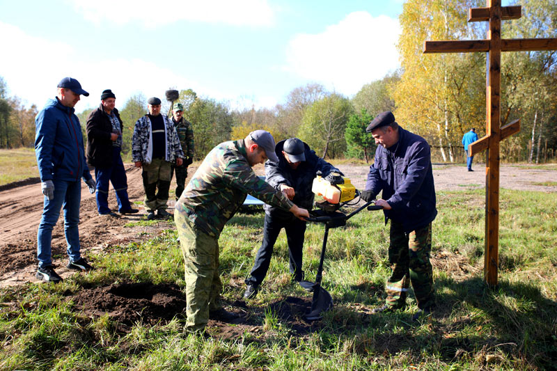 На Климовщине жители города и села высаживают деревья и кустарники