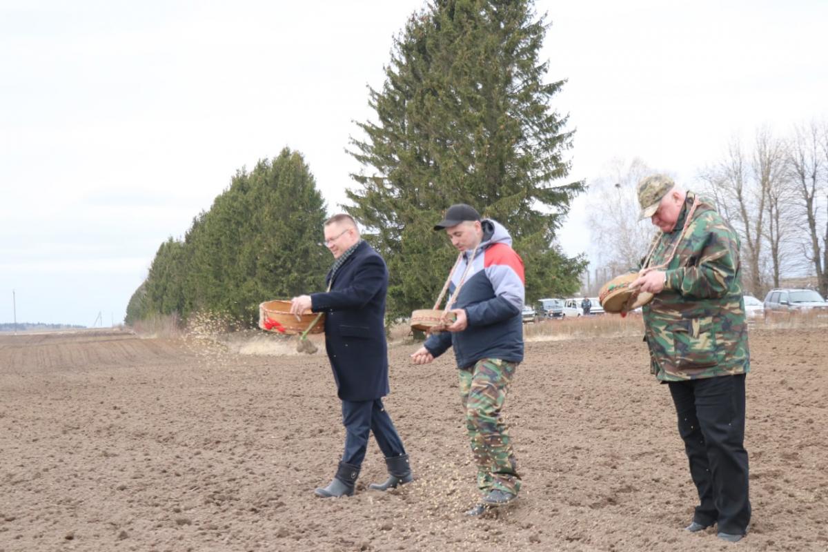 «Засевки» на Мстиславщине: к посевной присоединяются восточные районы Могилевской области