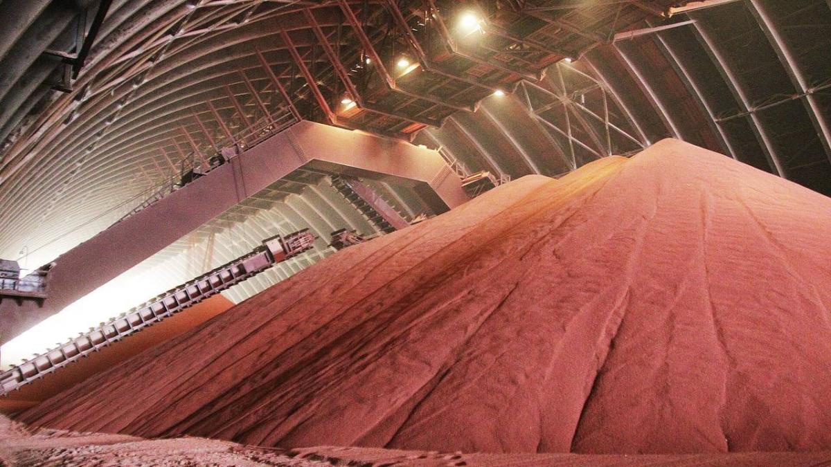 Президент подписал указ о реализации калийных удобрений