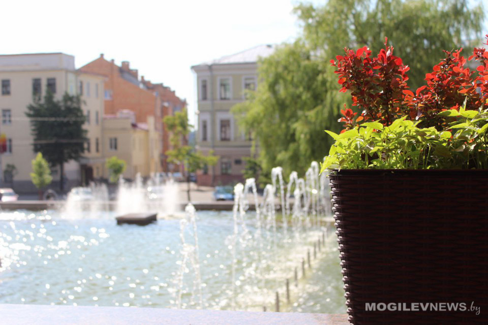 Жаркая погода сохранится в Могилевской области 27 августа