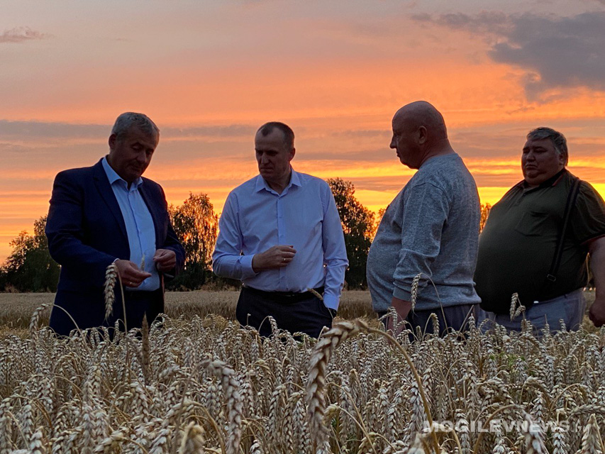 Председатель Могилевского облисполкома Анатолий Исаченко проверил ход уборки урожая зерновых в ОАО «Тишовка»