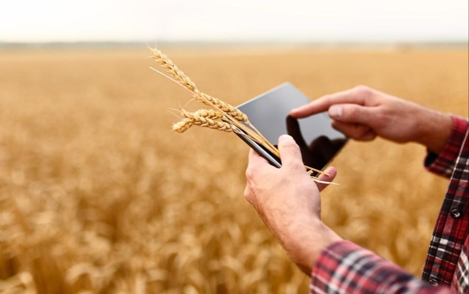 Эффективность деятельности аграриев Бобруйского района - на контроле КГК