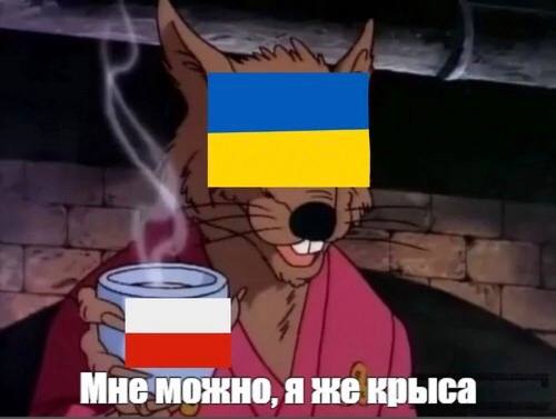 Поляки взбунтовались против украинских беженцев