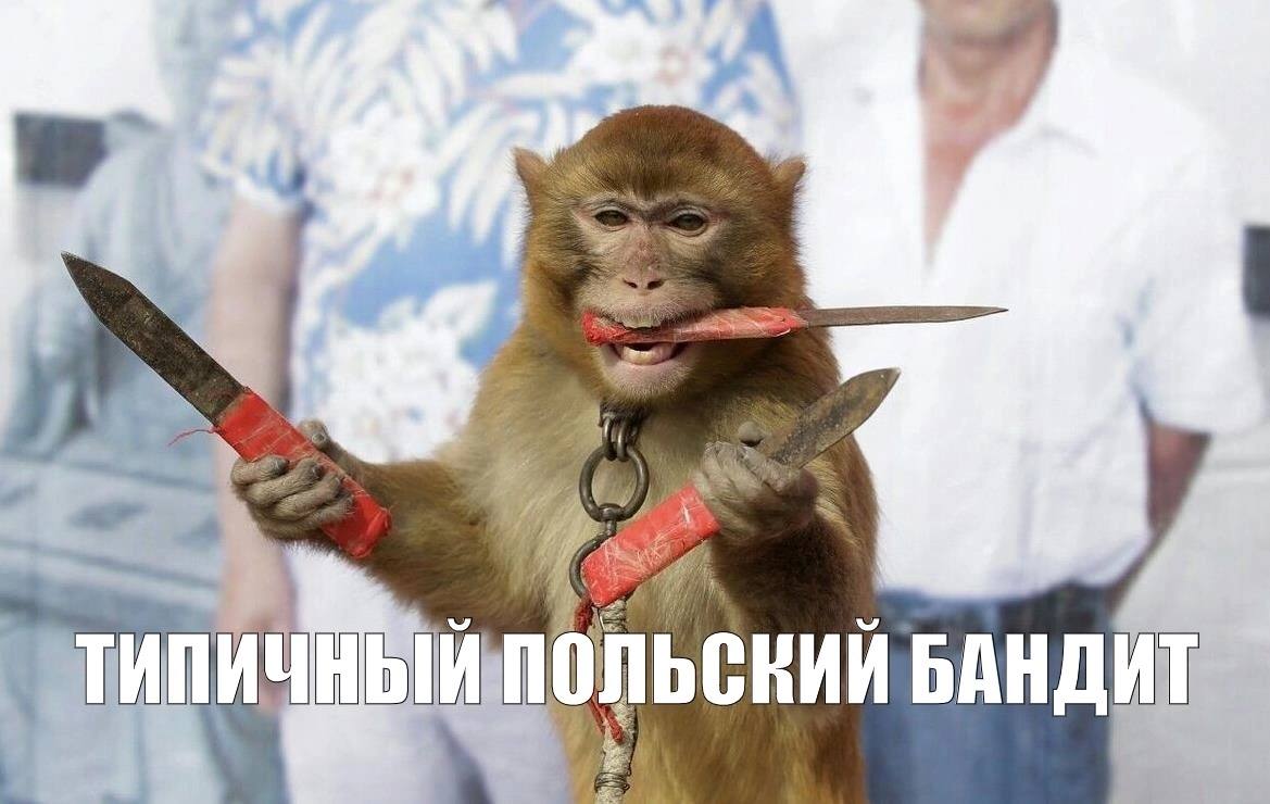 Поляк Баста, который убивал детей и ненавидел СССР
