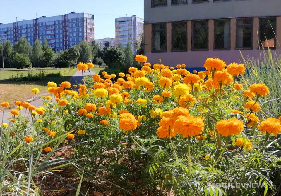 Погода в воскресенье: до +21°С и преимущественно без осадков