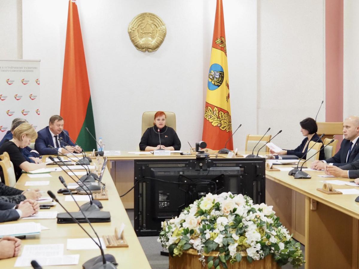 Итоги реализации проектов гражданских инициатив в 2022 году рассмотрели в Могилевском облсовете