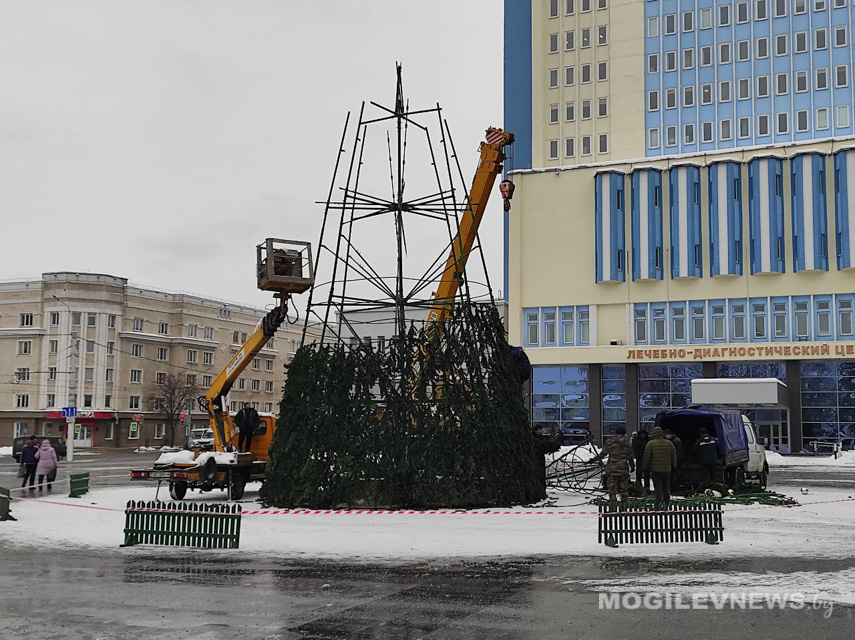 Новогодние елки начали устанавливать в Могилеве