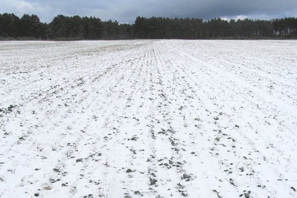 Хозяйства Бобруйского района начали подготовку к посевной будущего года