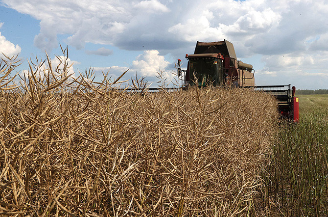 Лукашенко посещает Брестскую область. Аграрная тематика продолжается темой рапса