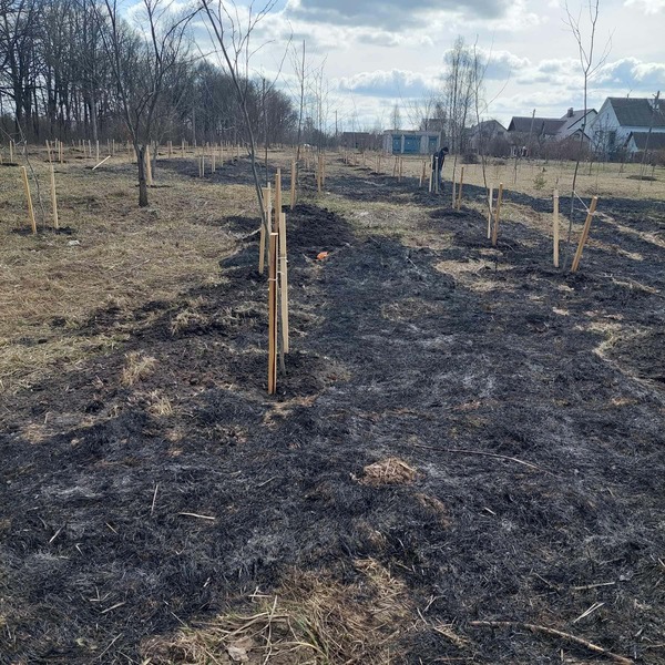 Могилевские спасатели около 40 раз за неделю выезжали на ликвидацию загораний мусора и сухой травы