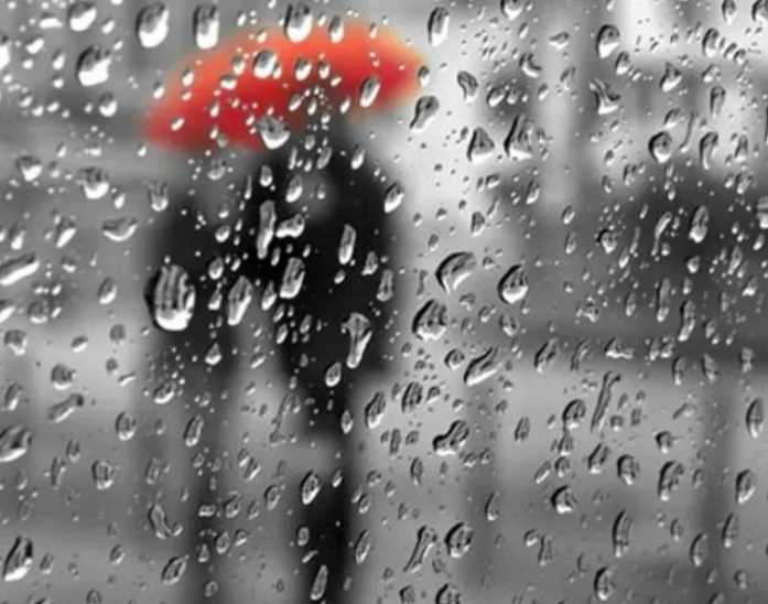 Оранжевый уровень опасности объявлен в Могилевской области на 2 апреля из-за сильных осадков